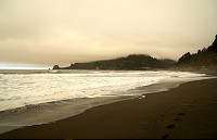 1311_SS105561.jpg
