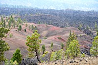 1553_SS105904.jpg