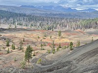1557_IMG_E9307.jpg
