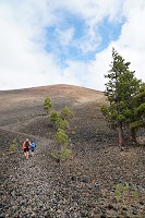 1558_SS105919.jpg