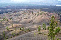 1565_SS105927.jpg