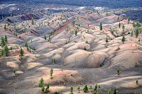 1567_SS105929.jpg