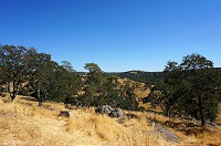1657_DSC02870.jpg