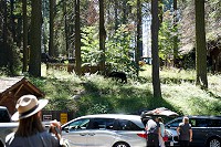 1818_SS106309.jpg
