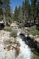1842_SS106342.jpg