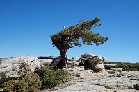 1874_SS106406.jpg