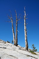 1883_SS106421.jpg