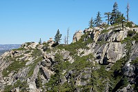 1900_SS106458.jpg