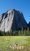 1958_SS106539.jpg