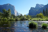 1961_SS106546.jpg
