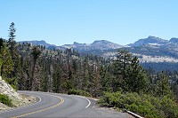 1964_SS106548.jpg