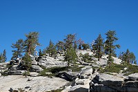 1965_SS106550.jpg