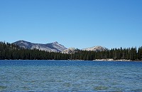 1975_SS106564.jpg
