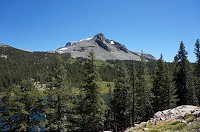 1992_DSC03242.jpg