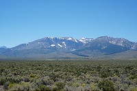 2049_SS106657.jpg