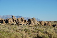 2090_SS106712.jpg