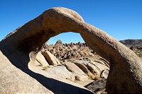 2110_SS106745.jpg