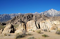 2119_SS106757.jpg