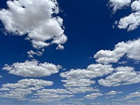 2195_IMG_0352.jpg