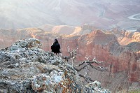 2231_SS106861.jpg
