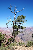 2270_SS106902.jpg