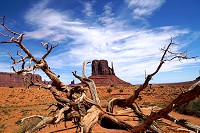 2356_SS107041.jpg