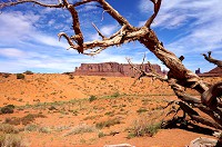 2362_DSC03779.jpg