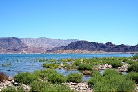 2551_SS107107.jpg