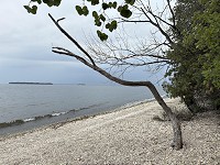 0408_IMG_9833.jpg