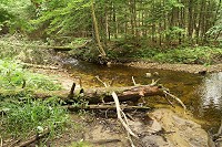 0738_SS200208.jpg