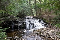 0743_SS200219.jpg