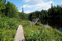 0877_SS200381.jpg