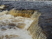 0891_IMG_0830.jpg