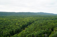 0928_SS200407a.jpg