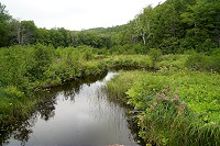 0949_SS200427.jpg