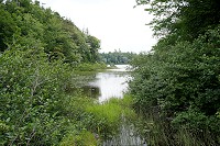 0977_SS200441.jpg