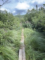 0983_IMG_0992.jpg