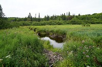 0985_SS200443.jpg