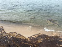 1030_IMG_1065.jpg