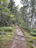 1042_IMG_1075.jpg