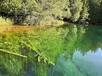 1133_IMG_1183.jpg