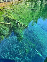 1134_IMG_7111.jpg