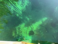1137_IMG_1187.jpg