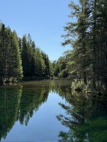 1146_IMG_1206.jpg
