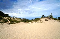 1246_SS200478.jpg