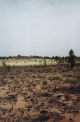 9-03.jpg